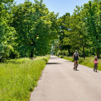 Erwachsene fahren Fahrrad im Perlacher Forst München